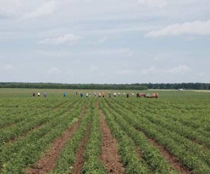 Transnistria-di-Anton-Polyakov-03