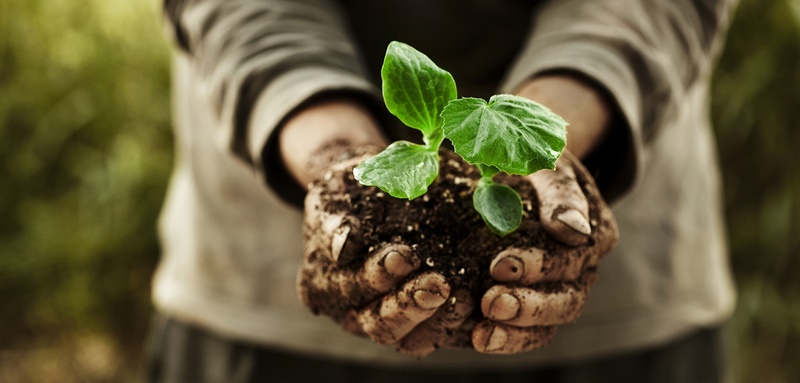 Il Bio sbarca in Moldova: coltivare biologico non è più tabù