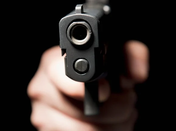 Pitbull ucciso a colpi d’arma da fuoco a Chisinau Arma da fuoco impugnata