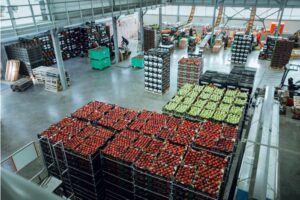 Esportazione di mele moldave