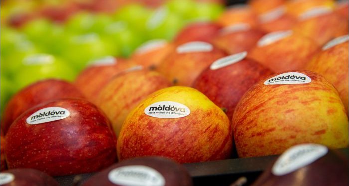 Il primo lotto commerciale di mele moldave è partito per l’India Mele moldave