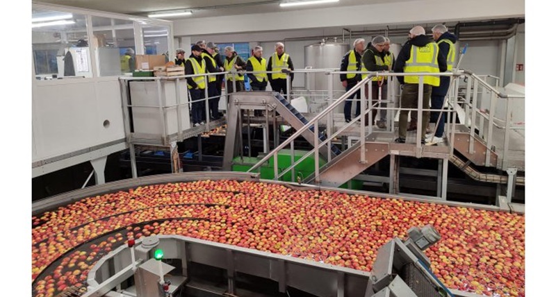 I produttori di frutta moldavi acquisiscono tecnologie moderne dall’Italia